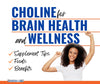 Choline for Brain Health and Wellness: Benefits and Sources