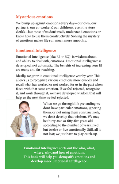 A quick look at Demystifying Emotions Book – Print and PDF Book