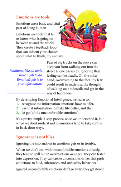 A quick look at Demystifying Emotions Book – Print and PDF Book