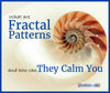 What are Fractal Patterns and How Can They Calm You