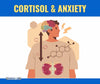 Cortisol and Anxiety: The Adrenal Gland's Response to Stress