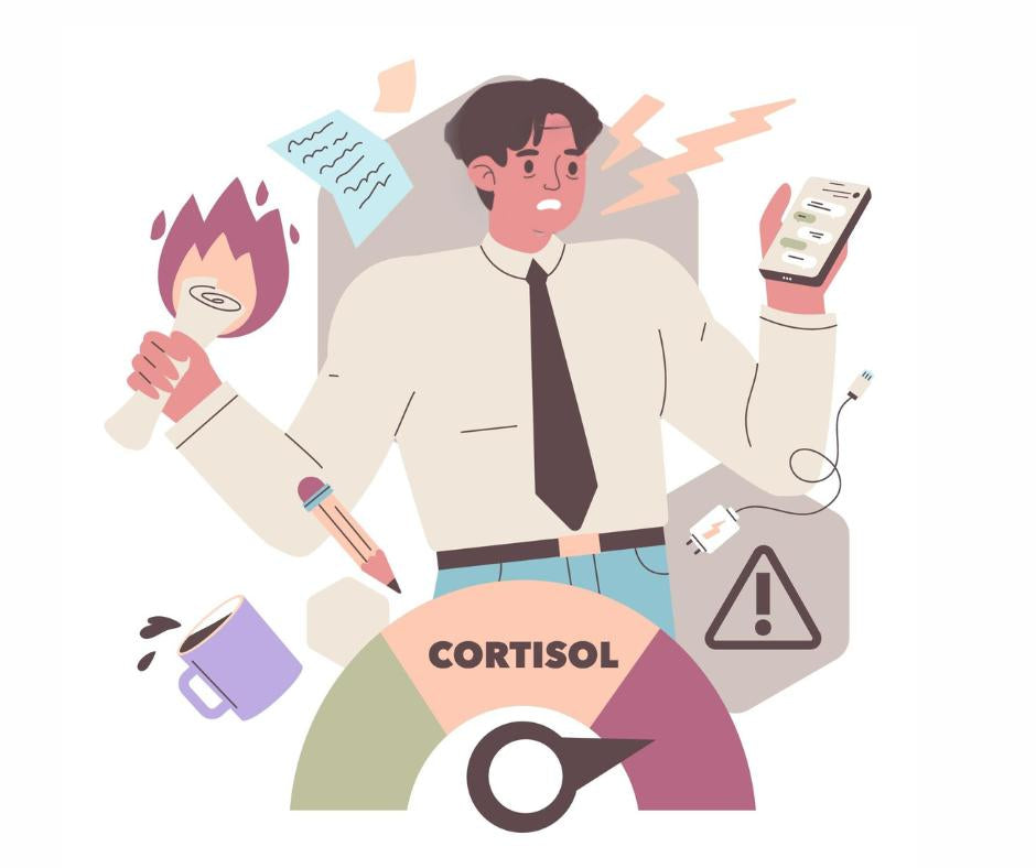 High Cortisol and Anxiety: When the Stress Response Stays Activated