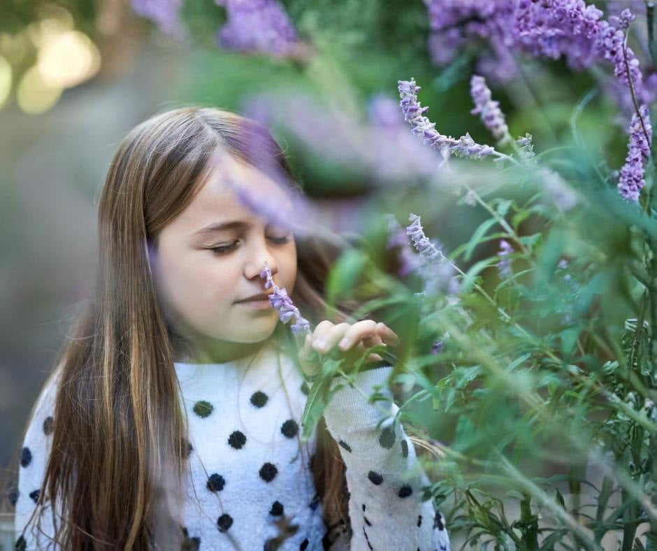 Is Lavender Essential Oil Safe for Children? Sorting Out the Research
