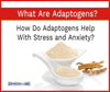 What Are Adaptogens? How Do They Help with Stress and Anxiety?