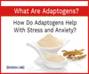 What Are Adaptogens? How Do Adaptogens Help With Stress and Anxiety?