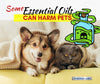 Are Essential Oils Safe for Pets, Including Cats, Dogs?