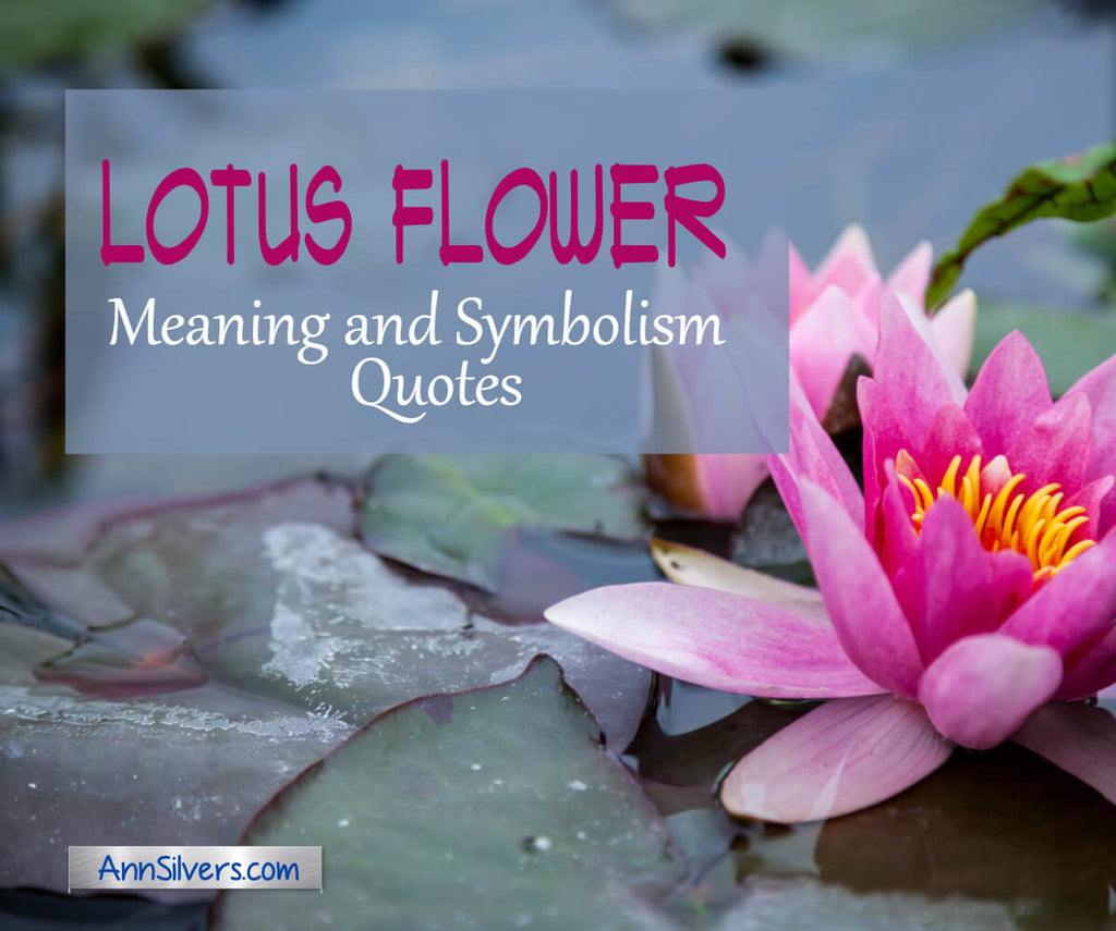 Lotus Flower Meaning and Symbolism Quotes with Graphics