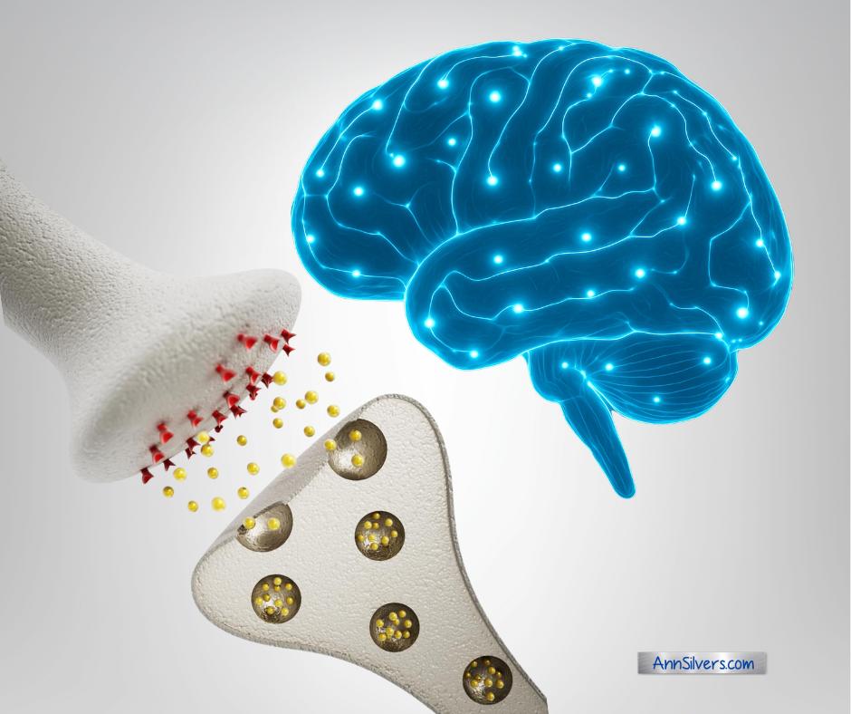 Neurotransmitters: How Your Brain Calms Down or Revs Up